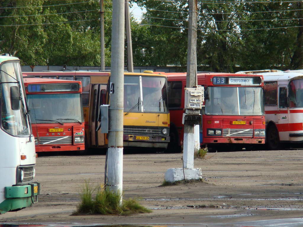 Автобус - Фотоальбом - Пассажирский транспорт Архангельской области